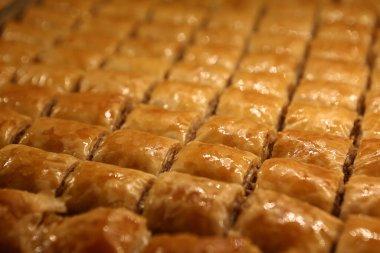 Geleneksel hindistancevizli tatlı baklavası. Ev yapımı fındıklı ve ballı baklava..