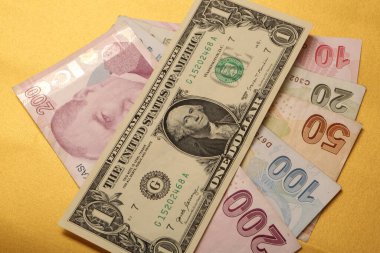 Türk Lirası ve Amerikan Doları