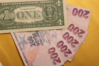 Türk Lirası ve Amerikan Doları