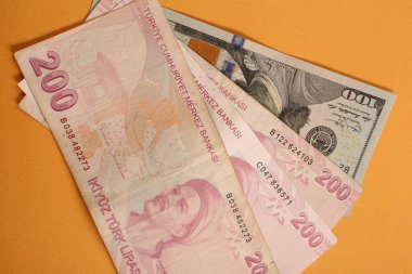 Türk Lirası ve Amerikan Doları