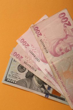 Türk Lirası ve Amerikan Doları