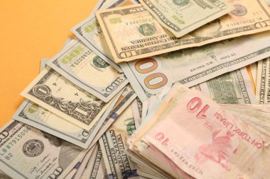 Türk Lirası ve Amerikan Doları