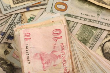 Türk Lirası ve Amerikan Doları