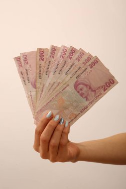 Türk para birimi ve Türk lireti banknotları
