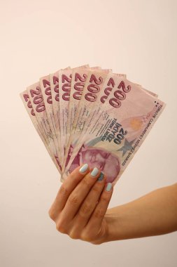 Türk para birimi ve Türk lireti banknotları
