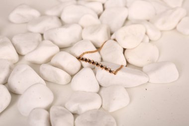 Elmas Mücevherler ve Moda Mücevherleri