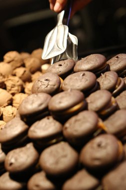 Bir grup çeşit kurabiye. Çikolata parçacıklı, yulaflı, kuru üzümlü, beyaz çikolatalı.