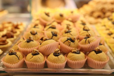 Bir grup çeşit kurabiye. Çikolata parçacıklı, yulaflı, kuru üzümlü, beyaz çikolatalı.