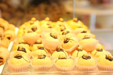 Bir grup çeşit kurabiye. Çikolata parçacıklı, yulaflı, kuru üzümlü, beyaz çikolatalı.