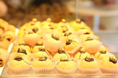 Bir grup çeşit kurabiye. Çikolata parçacıklı, yulaflı, kuru üzümlü, beyaz çikolatalı.