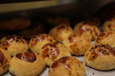 Bir grup çeşit kurabiye. Çikolata parçacıklı, yulaflı, kuru üzümlü, beyaz çikolatalı.