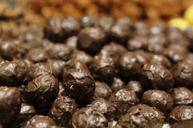 Bir grup çeşit kurabiye. Çikolata parçacıklı, yulaflı, kuru üzümlü, beyaz çikolatalı.