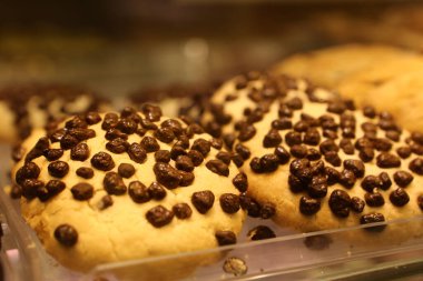 Bir grup çeşit kurabiye. Çikolata parçacıklı, yulaflı, kuru üzümlü, beyaz çikolatalı. 