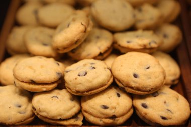 Bir grup çeşit kurabiye. Çikolata parçacıklı, yulaflı, kuru üzümlü, beyaz çikolatalı.