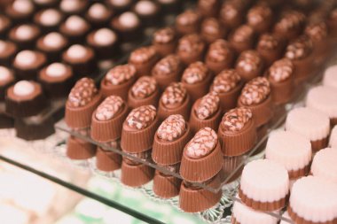 bir sürü değişik çikolatalı pralin