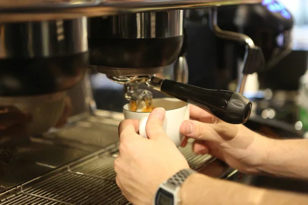 Barista Ζυθοποιίας Καφέ Στην Αίθουσα Καφέ — Φωτογραφία Αρχείου