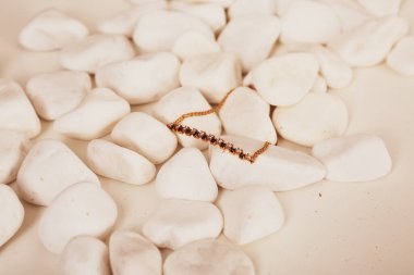 Elmas Mücevherler ve Moda Mücevherleri