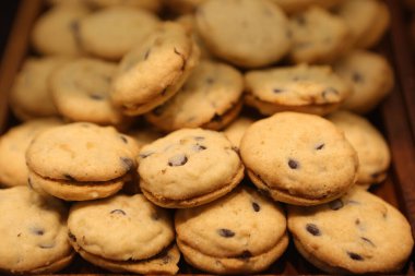 Bir grup çeşit kurabiye. Çikolata parçacıklı, yulaflı, kuru üzümlü, beyaz çikolatalı.