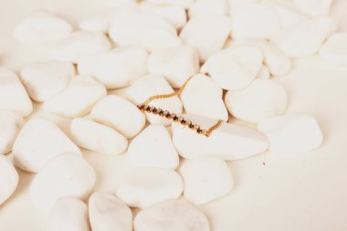 Elmas Mücevherler ve Moda Mücevherleri