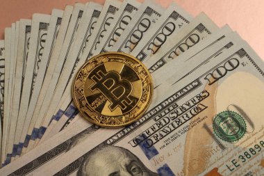 Multi Euro ve Dolar nakit, farklı türde yeni nesil banknotlar, ve bitcoin