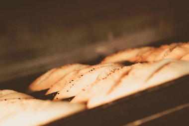 Lezzetli doğal estetik fırınlanmış ekmek