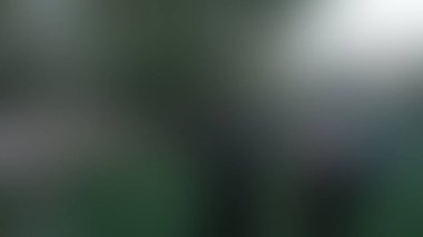 Bulanık arkaplan dokusu