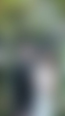 Bulanık arkaplan dokusu