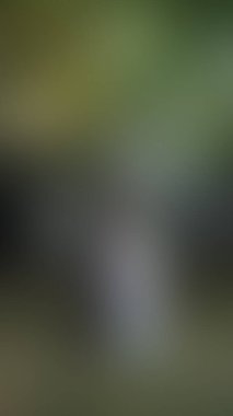 Bulanık arkaplan dokusu