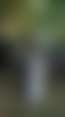 Bulanık arkaplan dokusu