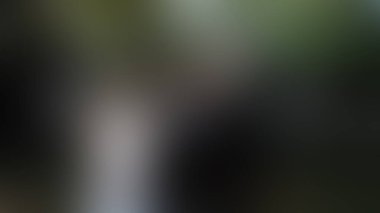 Bulanık arkaplan dokusu