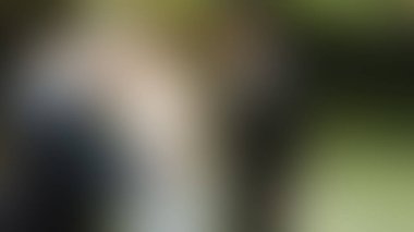 Bulanık arkaplan dokusu