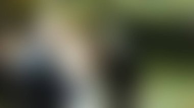 Bulanık arkaplan dokusu