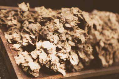 Bir grup çeşit kurabiye. Çikolata parçacıklı, yulaflı, kuru üzümlü, beyaz çikolatalı.