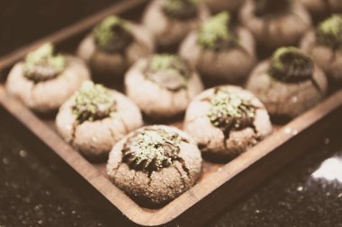 Bir grup çeşit kurabiye. Çikolata parçacıklı, yulaflı, kuru üzümlü, beyaz çikolatalı.