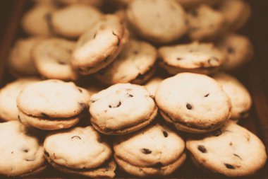 Bir grup çeşit kurabiye. Çikolata parçacıklı, yulaflı, kuru üzümlü, beyaz çikolatalı.