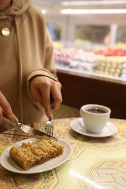 Geleneksel hindistancevizli tatlı baklavası. Ev yapımı fındıklı ve ballı baklava..