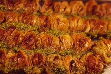Geleneksel hindistancevizli tatlı baklavası. Ev yapımı fındıklı ve ballı baklava..
