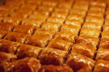 Geleneksel hindistancevizli tatlı baklavası. Ev yapımı fındıklı ve ballı baklava..