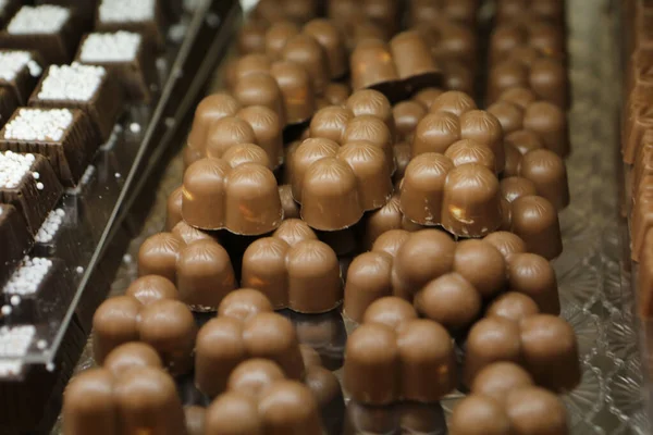 stock image a lot of variety chocolate pralines