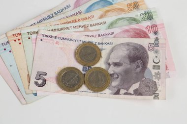 Türk para birimi ve Türk lireti banknotları