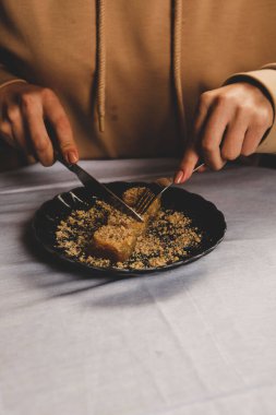 Geleneksel hindistancevizli tatlı baklavası. Ev yapımı fındıklı ve ballı baklava..