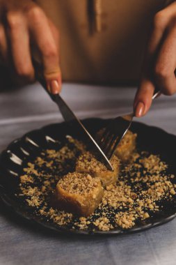 Geleneksel hindistancevizli tatlı baklavası. Ev yapımı fındıklı ve ballı baklava..