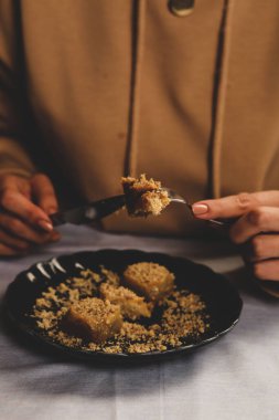 Geleneksel hindistancevizli tatlı baklavası. Ev yapımı fındıklı ve ballı baklava..