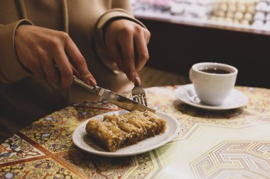Geleneksel hindistancevizli tatlı baklavası. Ev yapımı fındıklı ve ballı baklava..