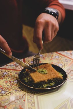 Geleneksel hindistancevizli tatlı baklavası. Ev yapımı fındıklı ve ballı baklava..