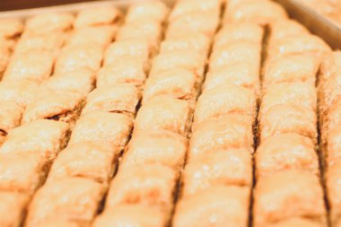 Geleneksel hindistancevizli tatlı baklavası. Ev yapımı fındıklı ve ballı baklava..