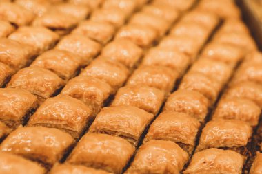 Geleneksel hindistancevizli tatlı baklavası. Ev yapımı fındıklı ve ballı baklava..