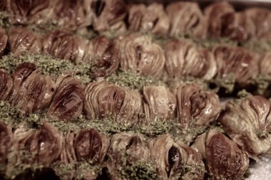 Geleneksel hindistancevizli tatlı baklavası. Ev yapımı fındıklı ve ballı baklava..