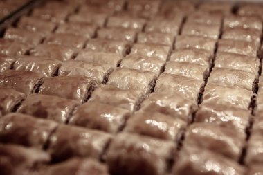 Geleneksel hindistancevizli tatlı baklavası. Ev yapımı fındıklı ve ballı baklava..