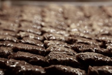 Geleneksel hindistancevizli tatlı baklavası. Ev yapımı fındıklı ve ballı baklava..